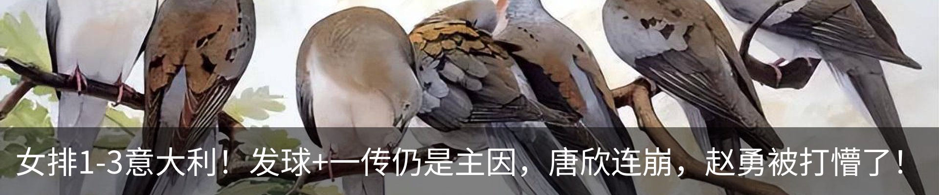 新闻动态