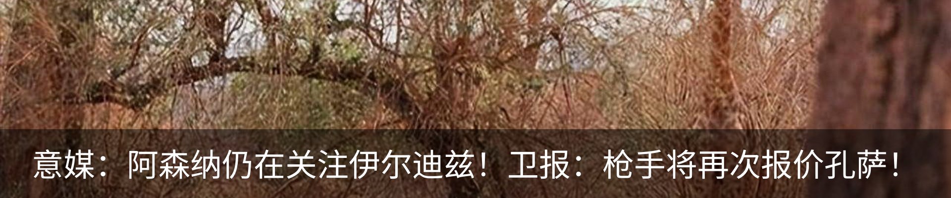 新闻动态