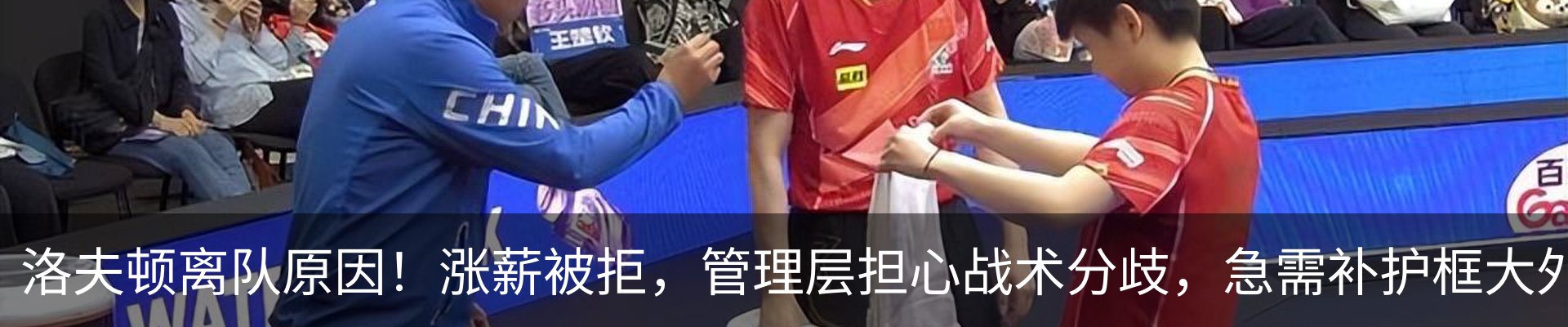 新闻动态