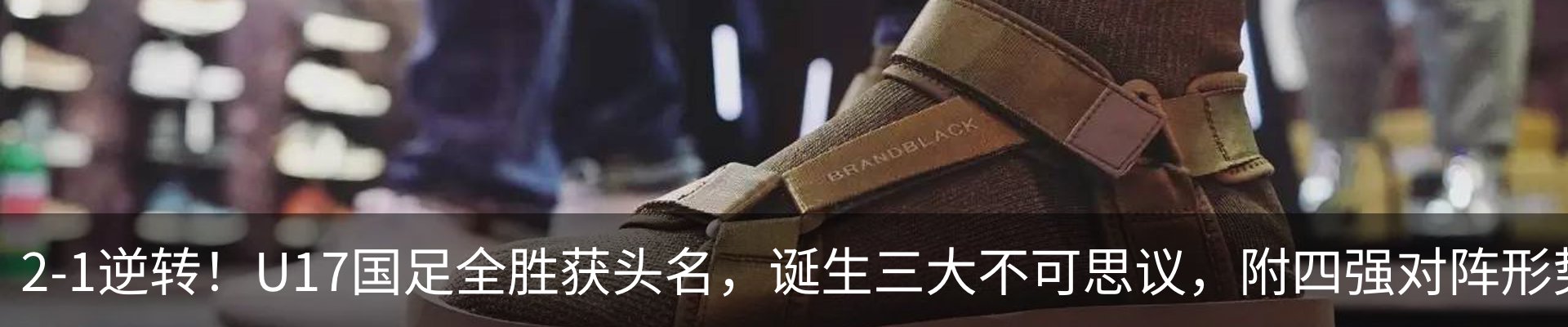 新闻动态